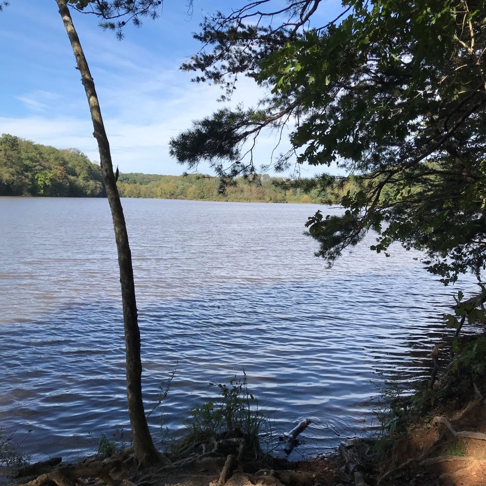 Meet your Posher, Tia